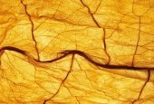 Nobel Royal Tobacco / Нобель Роял Тобакко 5 мл