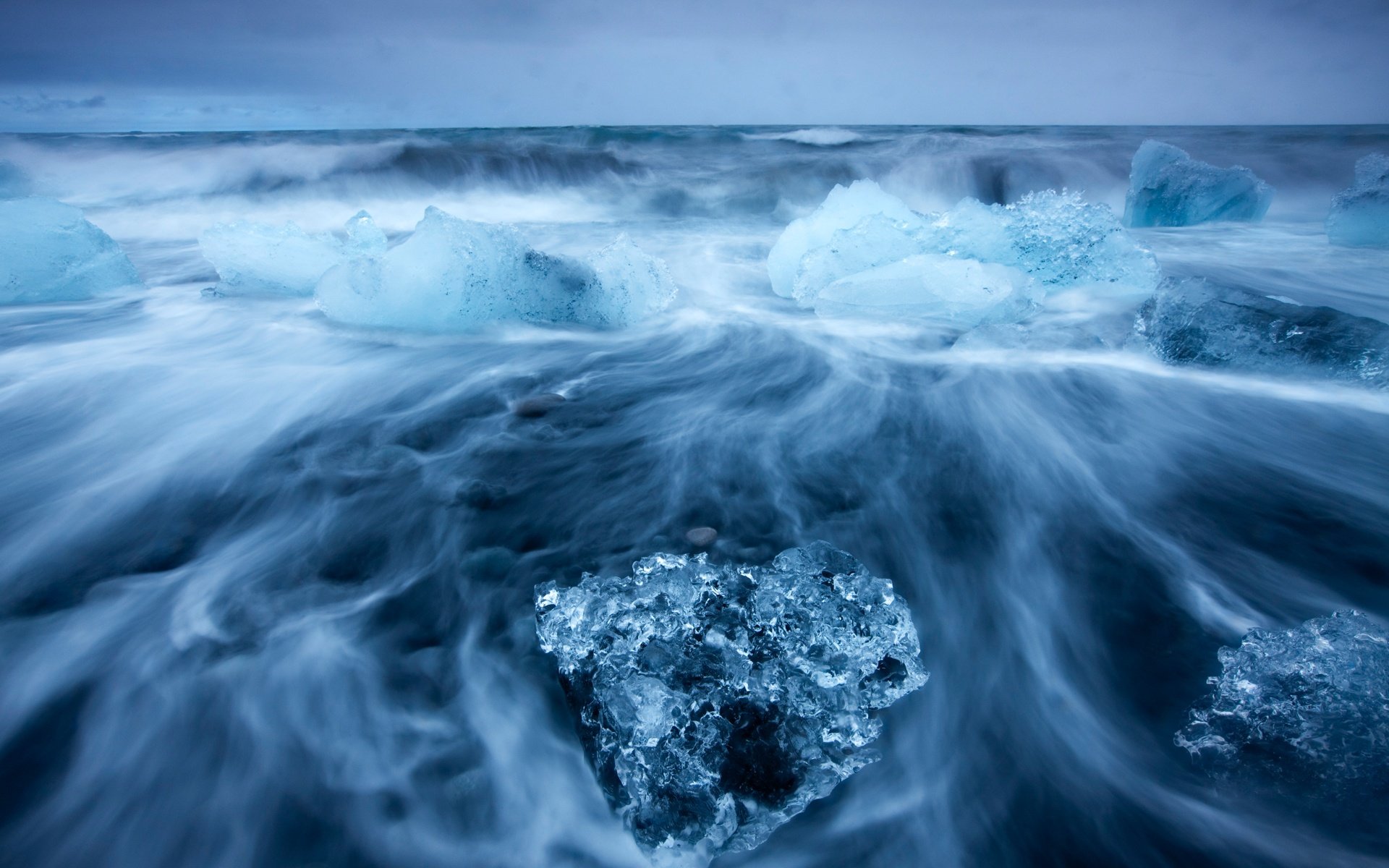 Black Arctic / Черная Арктика 5 мл