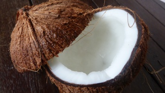 Coconut / Кокос 5 мл Coconut / Кокос 5 мл