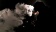 Cookie Dough / Ванильное печенье 5 мл Cookie Dough / Ванильное печенье 5 мл