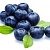 Blueberry / Черника 5 мл Blueberry / Черника 5 мл