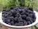 Blackberry / Ежевика 5 мл Blackberry / Ежевика 5 мл
