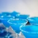Blue Slush / Коктейль голубые ягоды 5 мл Blue Slush / Коктейль голубые ягоды 5 мл