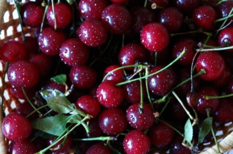 Cherry / Вишня 5 мл Cherry / Вишня 5 мл