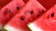 Watermelon / Арбуз 5 мл Watermelon / Арбуз 5 мл