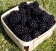 Blackberry / Ежевика 5 мл Blackberry / Ежевика 5 мл