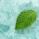 Menthol / Ментол 5 мл