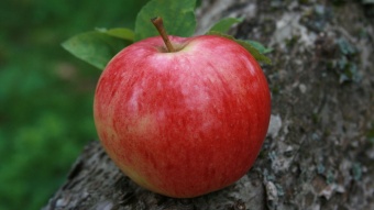 Red Apple / Красное яблоко 5 мл Red Apple / Красное яблоко 5 мл