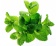 Spearmint / Мята 5 мл Spearmint / Мята 5 мл