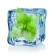 Spearmint / Мята 5 мл Spearmint / Мята 5 мл