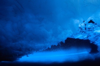 Black Arctic / Черная Арктика 5 мл Black Arctic / Черная Арктика 5 мл