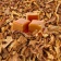 RY4 Tobacco / Табак с карамелью 5 мл RY4 Tobacco / Табак с карамелью 5 мл