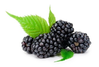 Blackberry / Ежевика 5 мл Blackberry / Ежевика 5 мл
